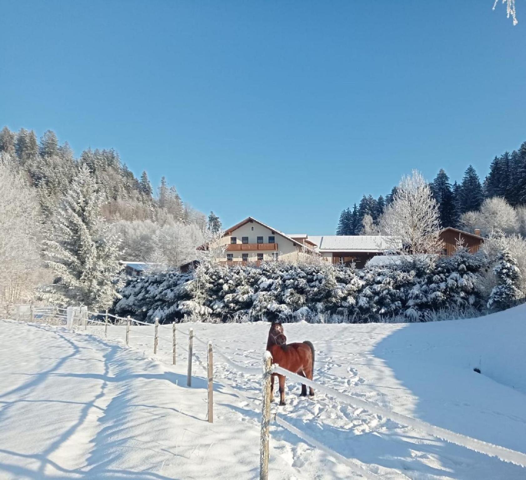 Penzion Ferienbauernhof Mehlbach Kollnburg Exteriér fotografie