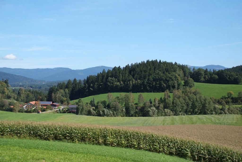 Penzion Ferienbauernhof Mehlbach Kollnburg Exteriér fotografie